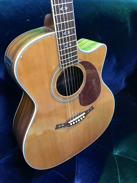 Hohner ea65ceq shop guitar