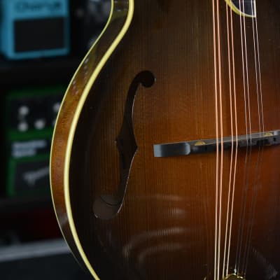 Lebeda F5 Standard+ Mandolin 2005 - Tobacco Sunburst image 10