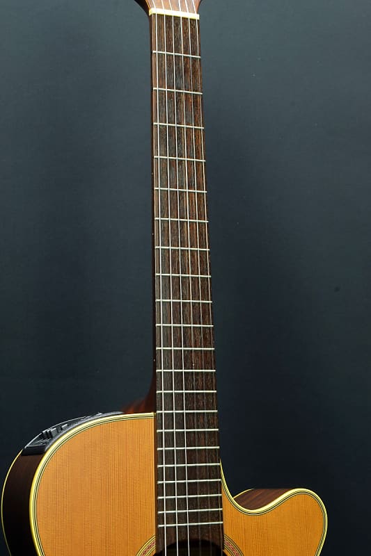 FROM JAPAN　Takamine NPT_110N Takamine NPT110N Natural (06/01) | Reverb