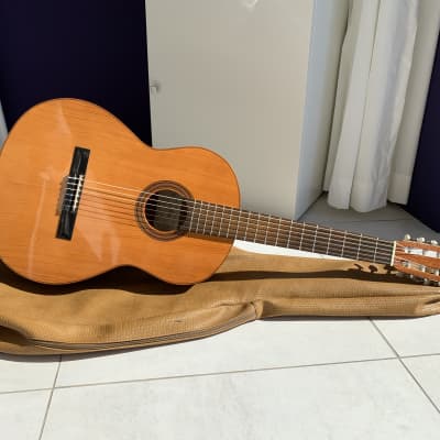 ARIA アコースティックギター SA-15
