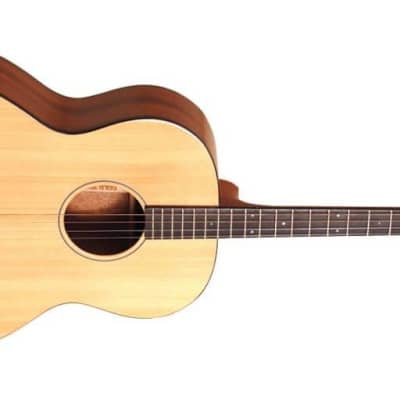 Gold Tone Model TG-18 Natural 4-String Solid Top Tenor Acoustic Guitar w/Gig Bag image 3