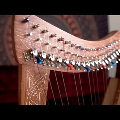 HTAC-1, 22-String Heather Harp, Chelby Levers, Sheesham Thistle Vine image 3