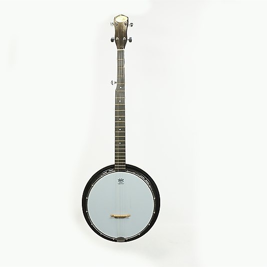 Regal banjo clearance