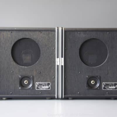 Roland SYSTEM-100 109  Speakers image 4