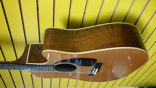 Fender f230ce outlet