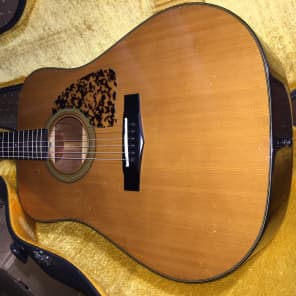 Ibanez AW20 Guitar Tama build | Reverb