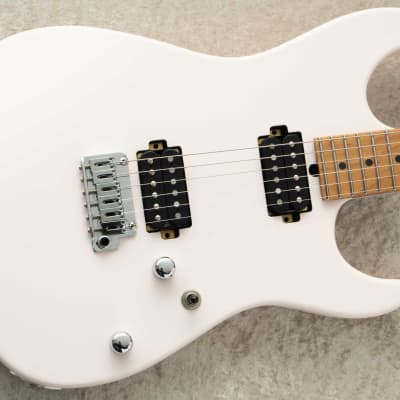 コンポーネントエレキギター T’s Guitars　USACG　Fender T's Guitars ティーズギター Arc-STD/VS100N Trans Blue Denim S