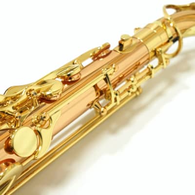 Free shipping! 【Special price】 Yanagisawa T-WO2(TWO2) Bronze Tenor Saxophone image 17