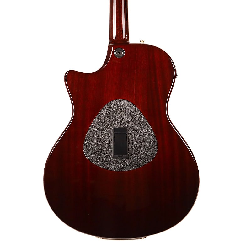 Taylor T5C3-12 Custom Cocobolo 12-String image 3