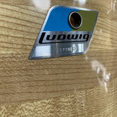Ludwig 3 Ply Butcher Block Pro-Beat, 24,18,16,14,13, Blue/Olive Pointy Badge, Immaculate!! 1976 image 14