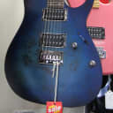 Ibanez RG421 Electric Guitar