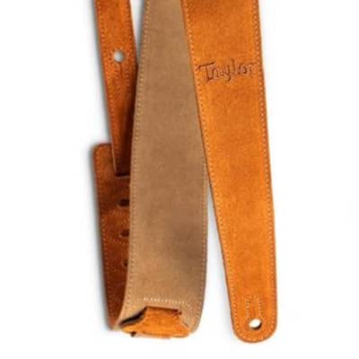 Taylor Suede Logo Guitar Strap Honey image 1