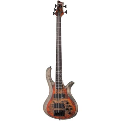 Bassmods 5 String Jazz Bass Guitar | Reverb