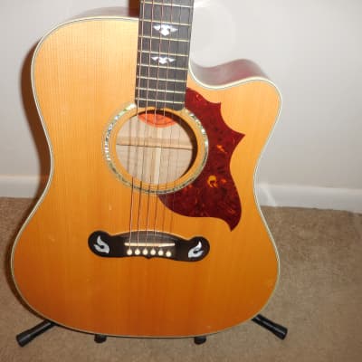 Gibson Dove Artist 2003 - Blonde/Cherry very rare for sale