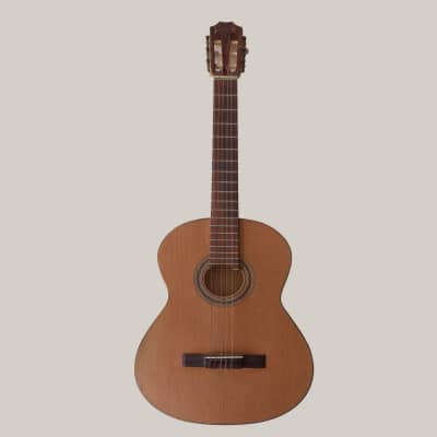 Briken Guitars | Carved Body Classical Guitar for sale