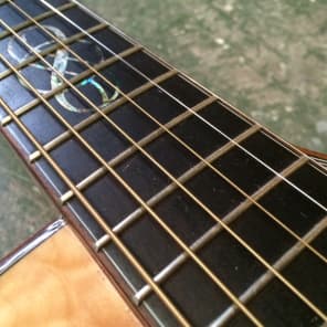 Ibanez  EW50QME NT Electro Acoustic Guitar image 25