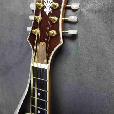 Ibanez M700SAVS F-Style Mandolin Antique Violin Sunburst image 4
