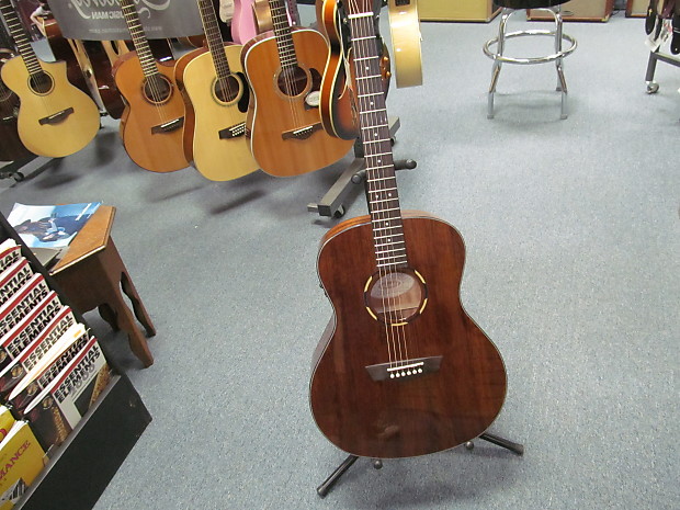 Washburn wl012se outlet