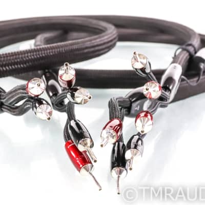 AudioQuest Oak Bi-Wire Speaker Cables; 3m Pair; 72v DBS image 3