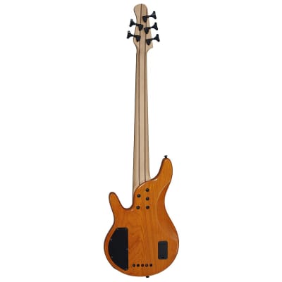 Michael Kelly Pinnacle 5 5-String Bass Guitar (Hollywood, CA) image 4