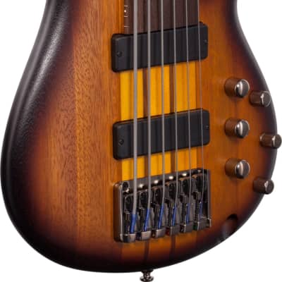 Ibanez SRF706 SR Bass Workshop 6-String Fretless Bass Guitar, Brown Burst Flat image 4
