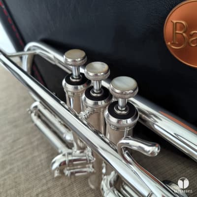 Vincent Bach Stradivarius 37 G GOLDBRASS bell trumpet GAMONBRASS case mouthpiece image 8