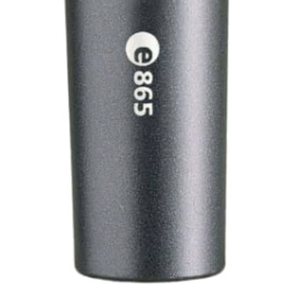 Sennheiser e865 Supercardioid Condenser Handheld Vocal Microphone image 1