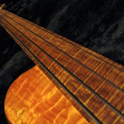 Benavente SCD  4 String Fretless  Bass image 3