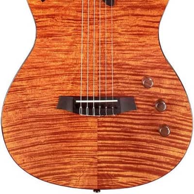 Cordoba Stage Amber - Semi Hollow Body Nylon String Acoustic Electric - 2023 image 2