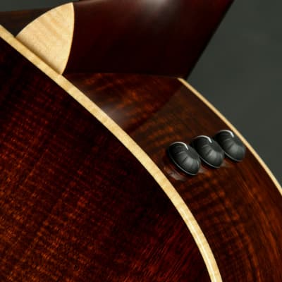 Taylor Custom GS Baritone - Torrefied Sitka Spruce/Laurelwood image 15