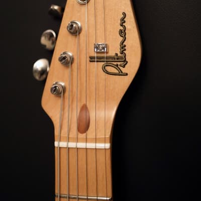 Pittman Guitars Workingman Plus Tele image 4