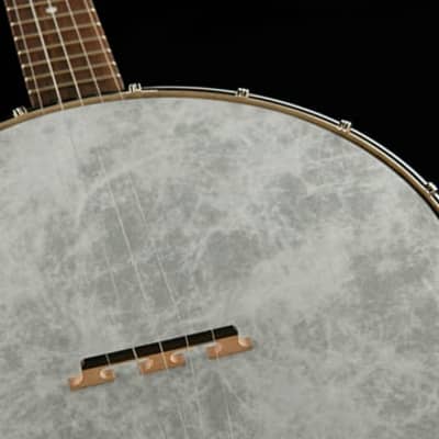 Recording King RKOH-05 | Dirty 30s Open Back Banjo. Brand New! image 14