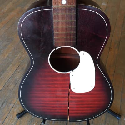 Mitchel Acoustic Guitar Project Guitar image 1