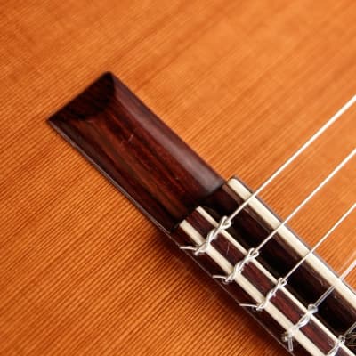1995 Paris Banchetti Concert Classical, Brazilian Rosewood/Cedar image 15