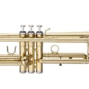 STAGG Bb Trumpet, ML-bore, Brass body material WS-TR115