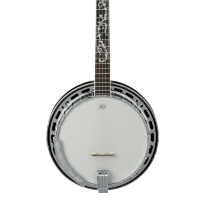 Ibanez B300 Closed Back Walnut 5-String Banjo image 1