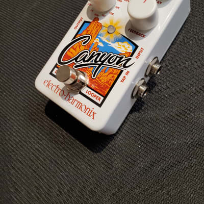 Electro-Harmonix Canyon Delay & Looper Pedal | Reverb Canada