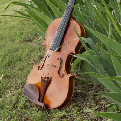 Handmade Soloist level Violin, 2022 Dark Brown, Built in USA by Crow Creek Fiddles image 9