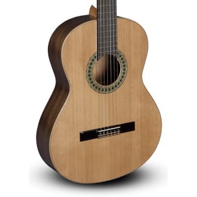 Guitarra Clasica PACO CASTILLO 201 (Mate) for sale