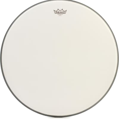 Remo Ambassador Coated Bass Drumhead - 22 inch  Bundle with Remo Controlled Sound Coated Drumhead - 14 inch - with Black Dot image 2