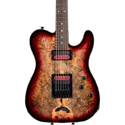 Schecter Guitar Research Custom Shop PT USA Buckeye Burl 6-String Electric Gray Stabilized With Pale Center