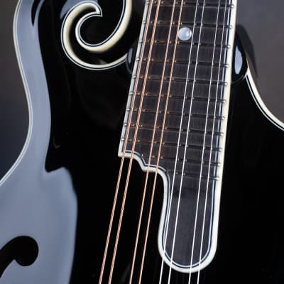 Bourgeois M5-F-BT Black Top Aged F-style mandolin Brand New image 8