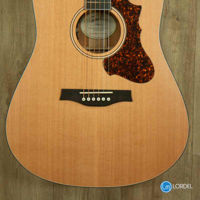 Guitare electro-acoustique Godin Metropolis limited image 4