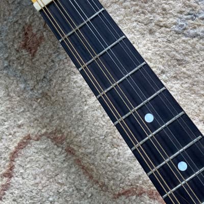 Johnson Resonator Mandolin | Reverb
