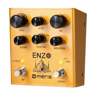Reverb.com listing, price, conditions, and images for meris-enzo