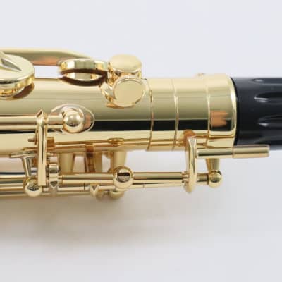 Selmer Paris Model 52AXOS Professional Alto Saxophone MINT CONDITION image 24