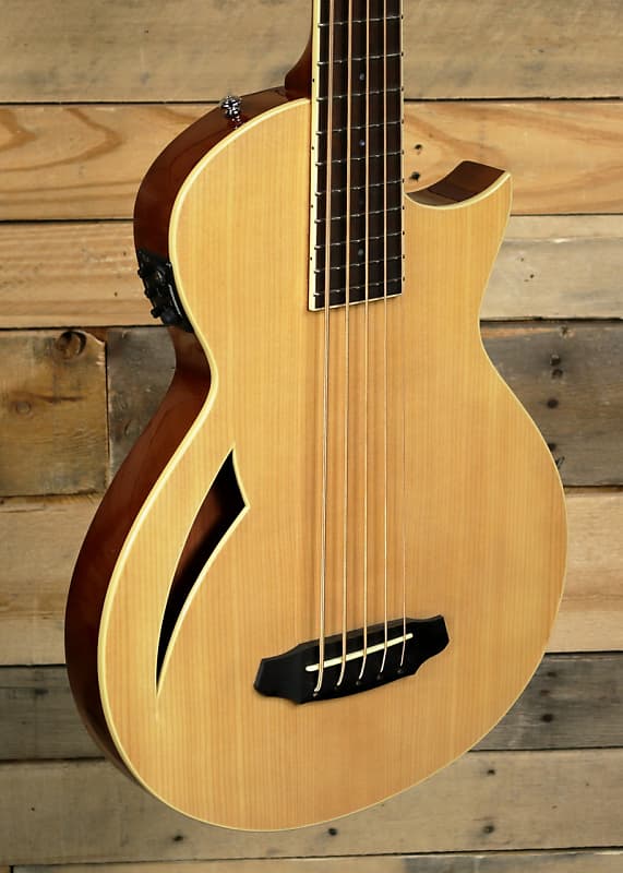 ESP LTD TL-5 Acoustic/Electric 5-String Bass Natural image 1