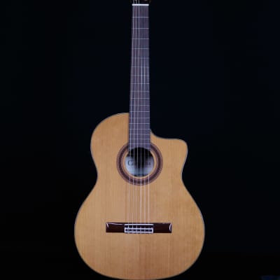 Cordoba C7-CE Cedar Top Nylon String Guitar image 5