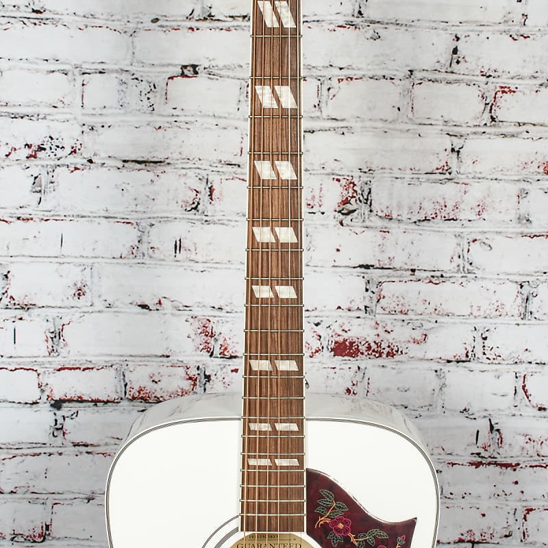 Epiphone - Ltd Ed Dove Pro AW - Dreadnought Acoustic