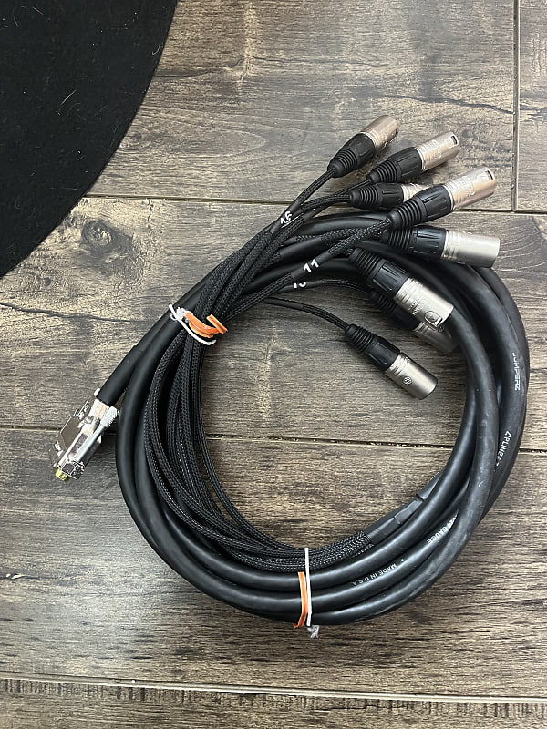 Vintage king Project series DB25 XLRM 15’ Reverb